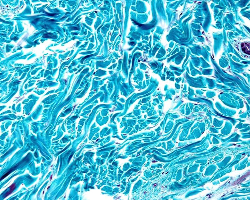 Abstract microscopy-style scientific image with softly illuminated structures and intricate patterns