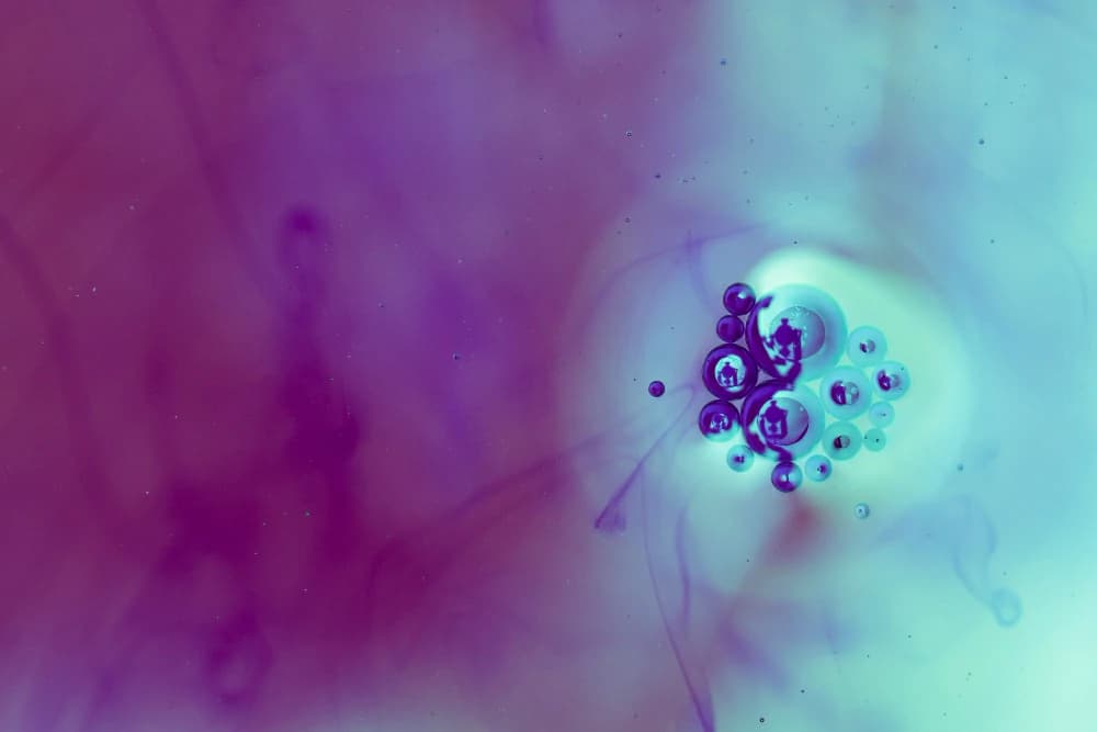 Cancer Stem Cells: The Small Subset of Tumor Cells That May Resist Treatment