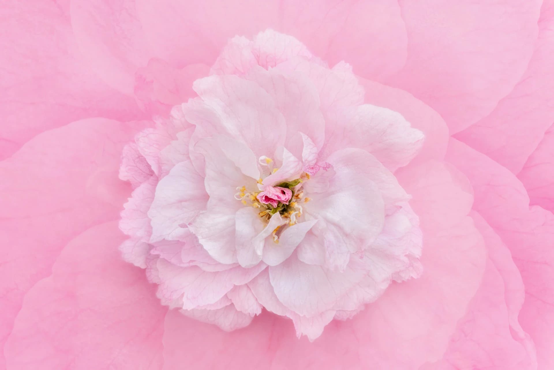 How to Check for Breast Cancer: What Actually Works